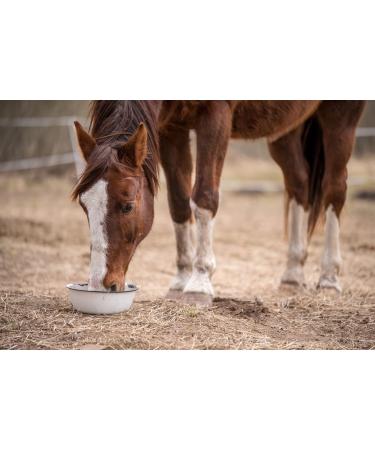 Non-GMO Oatmeal Bird Food Rodent Food Horse Food (10kg) - Buy Online on GoSupps.com
