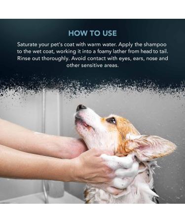 WAHL Shampoo for Pets - Jet Black 5L | Premium Pet Care International Shipping - Buy Online on GoSupps.com