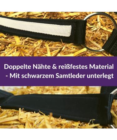 Premium Cold Blood Horse Halter | Adjustable XXFull Stable Halter with 2 Chin Straps - Black & White - Buy Online on GoSupps.com