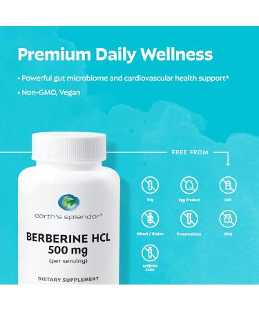 Earth's Splendor Energy & Sugar Metabolism Support Bundle Vitamin B12 (200ct) & Berberine 500mg (120ct) Gluten-Free Vegan-Friendly Non-GMO Dietary Supplements for Energy and Healthy Metabolism - Buy Online on GoSupps.com