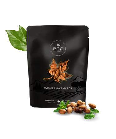 Whole Raw Pecans Premium Quality Non-GMO Gluten-Free Naturally Buttery and Crunchy Nuts for Snacking Cooking and Baking No Additives or Preservatives (225 g)