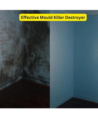 Mould Remover Spray Set - Bundle Includes Astonish Mould and Mildew Remover Spray and Pack of 3 Microfibre Cloths set - Black Mould Remover Kit - Buy Online on GoSupps.com