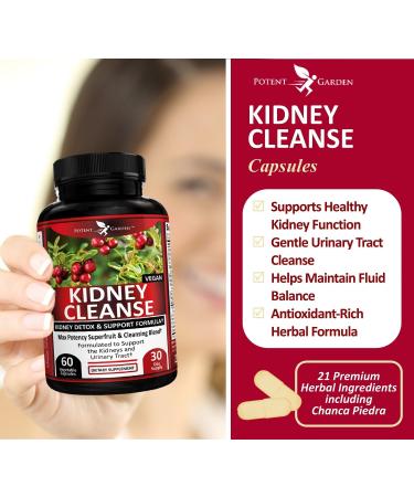 Kidney Cleanse Detox & Repair with Chanca Piedra & Uva Ursi Advanced Kidney Support Supplement for Healthy Kidney Function Urinary Tract & Bladder Wellness 60 Vegan Capsules - Buy Online on GoSupps.com