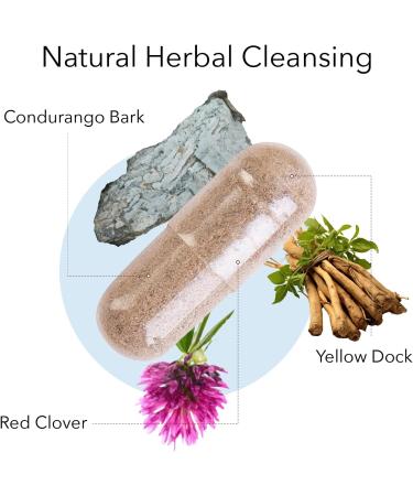 Kroeger Herb Candida Formula #1 Cleanse - Yeast Support Supplement for Women & Men | 100 Capsules Intestinal Health - Buy Online on GoSupps.com