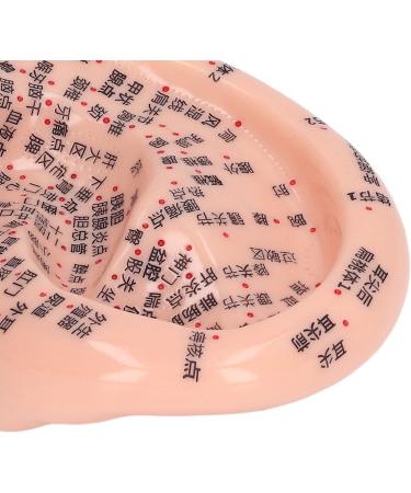 Shop 6.7 Inch Silicone Ear Acupuncture Model - Precision Ear Zone & Pressure Point Massage Tool (1PC) - Ideal for Acupuncture Practitioners - Buy Online on GoSupps.com