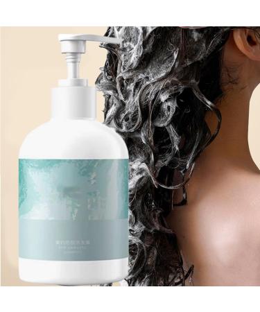  WJnflQN Shampoo for Oily Hair | Daily Clarifying Shampoo for Women | Absorbs Excess Oil | Oily Hair Care for Home School and Travel - Buy Online on GoSupps.com