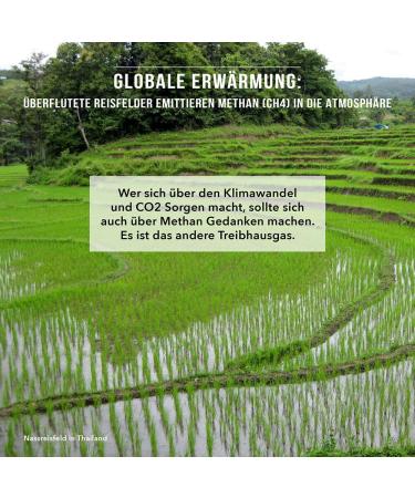 Buy Myrice! Risotto Tomato Risotto Rice Alternative | Mediterranean Dish with Dried Vegetables & Soluble Fiber 175g - Buy Online on GoSupps.com