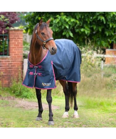 Gallop Trojan 600d Standard Neck 100g Turnout Rug 6'6" (EU 145cm) - Buy Online on GoSupps.com