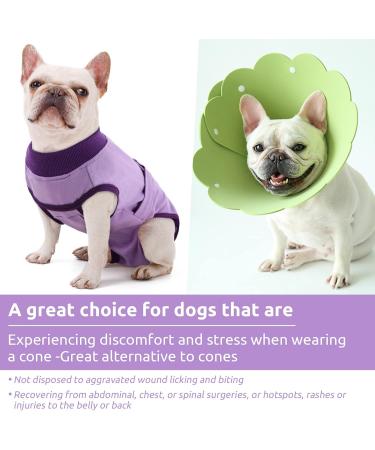 Convinite Recovery Suit for Dogs - Breathable Wound Protection after Castration | Alternative to Cone | Perfect for Male & Female Dogs - Purple - Buy Online on GoSupps.com