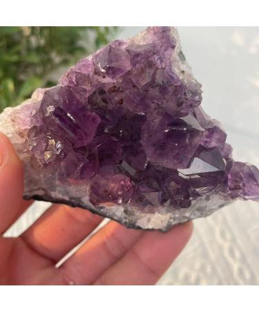 Choice of Gifts 40-120g Natural Dream Amethyst Quartz Crystal Cluster Specimen Vibration Stone Crystal Cluster (Size : 80-100g) - Buy Online on GoSupps.com