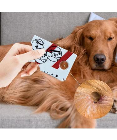 Pets Lice Catcher with Magnifying Glass Tick Removal Tool Tick Remover for Dogs & Cats Used for Pets Lover Small Tick Removal Tool Tick Inspection Card Tick Identification Card - Buy Online on GoSupps.com