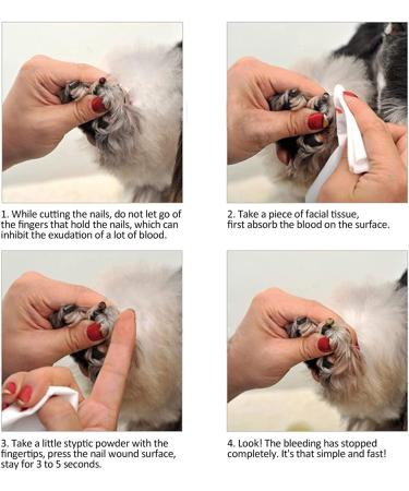 1/2Pcs 14g Pet Styptic Powder Anti-inflammatory and Anti-Bacterial Analgesic Powder for Cats and Dogs Pet Medical Supplies Styptic Powder for Traumatic Dogs Styptic Powder for Dogs Nails (1pcs) - Buy Online on GoSupps.com