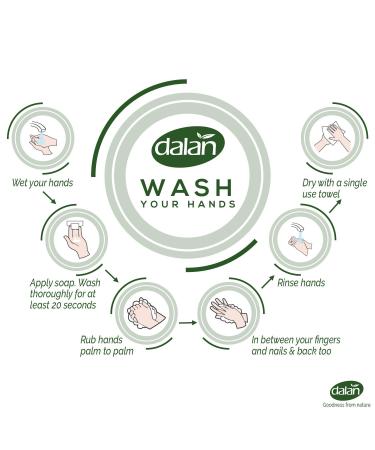 Dalan Therapy British Rose Ultra Moisturizing Liquid Hand Soap for Normal and Dry Hands Fresh Clean and Soft Feeling (13.5 Fl Oz / 400 mL (Pack of 3)) 13.5 Fl Oz (Pack of 3) - Buy Online on GoSupps.com