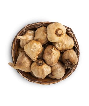 Peeled Black Garlic (1 lb) - Kosher Certified | Premium Quality - Buy Online on GoSupps.com