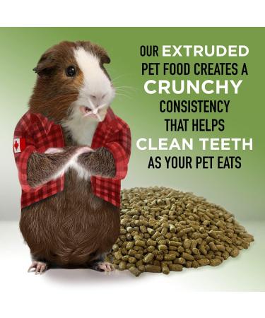 Stoter Farm Timothy Enriched Guinea Pig Food (5.5 LBS) 2.5 kg (Pack of 1) - Buy Online on GoSupps.com