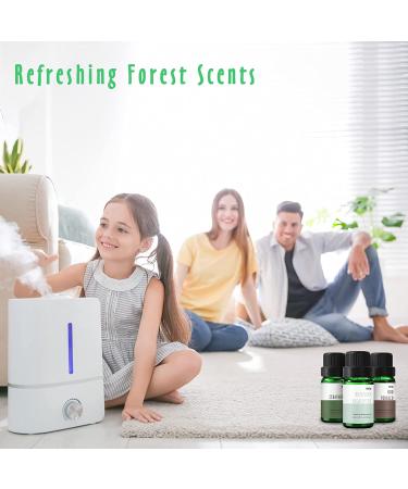 MitFlor Woodland Scented Oil Set - Aromatherapy Essential Oils for Soap, Candles & Car Diffuser - Pine, Cedarwood, Frosted Fir & More - Buy Online on GoSupps.com