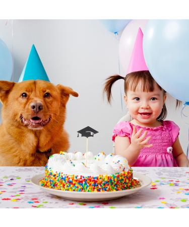 VALICLUD 24pcs graduation decorations class of 2023 graduation cap decorations toothpicks Cake Decor happy graduation congrats grad cupcake topper graduation 2021 mini Wooden cocktail Black - Buy Online on GoSupps.com