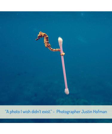 800 Bamboo Cotton Swabs | Eco-Friendly Q-Tips | Plastic-Free Watteb uschen | Zero Waste Ear Cleaners | Sustainable Bamboo Products - Buy Online on GoSupps.com