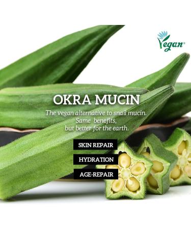 DONGSUNG RANNCE Okra Mist Face Mist with Okra Fruit Extract and Abelmoschus Manihot Flower Extract Hydrates and Nourishes Skin Day Care 3.38 fl oz (100ml) - Buy Online on GoSupps.com