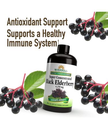 Super Concentrated Black Elderberry: Immune System Support, Rich in Antioxidants - 8 Fl Oz - Buy Online on GoSupps.com