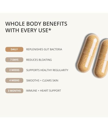 Nutragenis Akkermansia Muciniphila Probiotic 1 Billion AFU with 390 mg Inulin Prebiotic Fiber 60 Capsules 2-Month Supply Gut Health & Metabolism Support Daily Probiotic for Men & Women - Buy Online on GoSupps.com