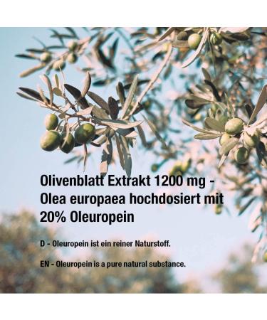 Vitabay Olive Leaf Extract 1200 mg - 90 Vegan Capsules with 20% Oleuropein | High-Dose & Sweater Capsule Cover | Made in Germany - International Shipping - Buy Online on GoSupps.com