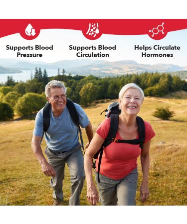 LifeSeasons B/P Stabili-T - Blood Pressure Support - Vitamin Supplement for Healthy Heart & Circulation - Ashwagandha Arjuna & Hawthorn Berry - 240 Capsules 240 count (Pack of 1) - Buy Online on GoSupps.com