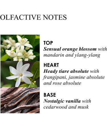 Molton Brown Flora Luminare Hand Wash 300ml - Luxurious Fine Liquid Soap - Buy Online on GoSupps.com