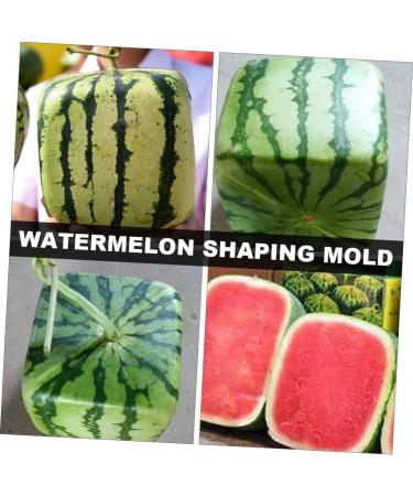 Uonlytech Watermelon Shaping Fruit Tools Pumpkin Growing Molds for Garden Vegetable Shaping Tool Watermelon Modeling Big Rod 15x15cm Transparent - Buy Online on GoSupps.com