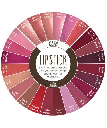 Burts Bees Scarlet Soaked Moisturizing Lipstick - 100% Natural Formula - 1 Tube - Buy Online on GoSupps.com