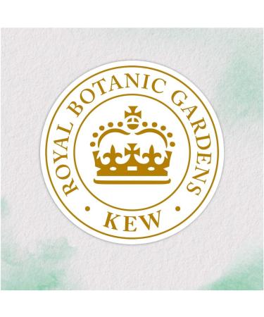 Herbal Essences Pure White Strawberry and Spearmint Purification Shampoo 90% natural ingredients Paraben-free Dye-free Silicone-free Paraffin-free 250ml x3 pack - Buy Online on GoSupps.com