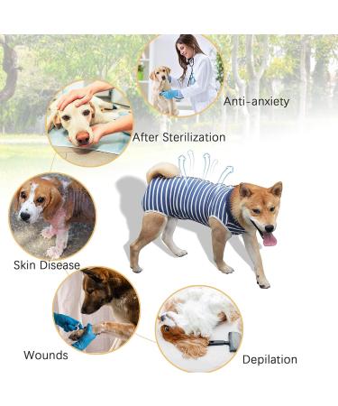 Hipet Recovery Suit for Dogs & Cats | Post-Op Wound Protection | Prevent Licking & Skin Issues | E-Collar Alternative | Size L Blue Striped - Buy Online on GoSupps.com