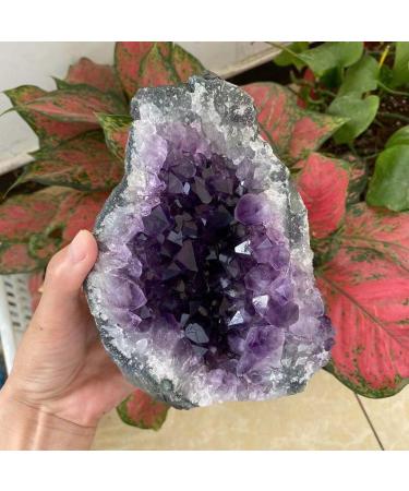 Natural Amethyst Geode Quartz Cluster Crystal Specimen Stone Crystal Cluster (Size : 1400g) - Buy Online on GoSupps.com