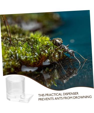 Toddmomy Pet Water Feeder Ant Water Drinking Cup Ant Watering Cup Ants Waterer Ant Feed Bowl to Feed Animal - Buy Online on GoSupps.com