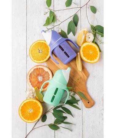 Glass Sippy Cup Set for Toddlers - 5oz - Spill-Proof Silicone Straw - Mint Green & Indigo Purple - BPA-Free - Buy Online on GoSupps.com