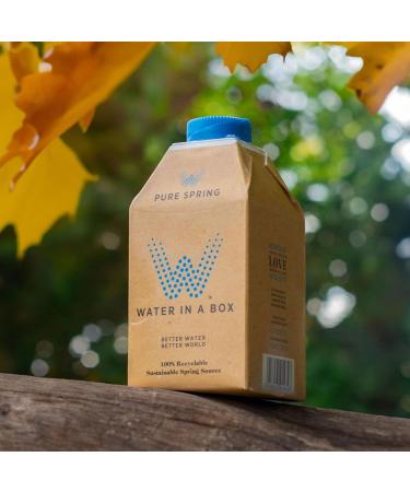 Water in a Box Flavoured Pure Spring Water 12 x 500ml Cartons | 100% Recyclable Packaging | Sustainably Sourced - Better Water for a Better World (Pure Spring) Pure Spring 6.00 l (Pack of 1) - Buy Online on GoSupps.com