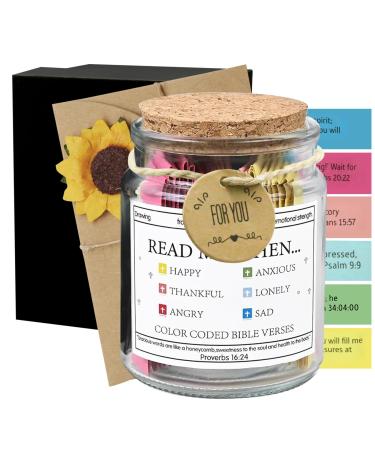The Hope Bible Verse Jar Christian Gifts for Women Verses Christian Gifts for Men Bible Study Accessories Bible Verses in A Jar Christian Gifts A Jar Contain Bible Verses Bible Study Supplies