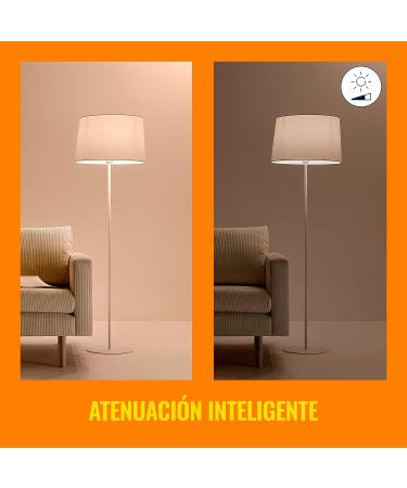 WiZ Connected Color 60W A19 Smart WiFi Light Bulb - 16 Million Colors - Alexa & Google Home Compatible - No Hub Needed - 1 Pack - Buy Online on GoSupps.com