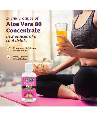 Lily Of The Desert Stomach Formula Aloe Vera 80 Gel - Concentrated Aloe Vera Juice with Slippery Elm Chamomile Peppermint and Ginger for Gut Health Heartburn Acid Reflux 32 Oz (Pack of 3) - Buy Online on GoSupps.com