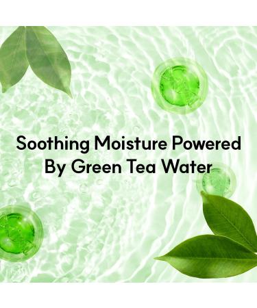 NEUL20S Centelsome 5X Soothing Serum 1.69 fl oz/50ml | for Hydration Glow Sensitive Anti Aging Acne treatment for Face Korean Skincare with Centella Asiatica Exosomes for Skin Panthenol - Buy Online on GoSupps.com