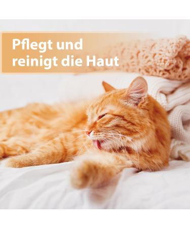 Felisept Wound Spray for Cats 75ml - Effective Painless Wound Care & Skin Cleaner for Cats - Buy Online on GoSupps.com