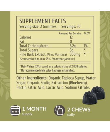 HERBAMAMA Pine Bark Extract Gummies - 300 mg Vegan Antioxidant Support - Non-GMO Blueberry Chews - 60 Count - Buy Online on GoSupps.com