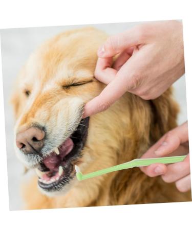 BELLIFFY 1pc Fine Fiber Plastic Cat Toothpaste Kitten Toothbrush Pet Supplies Pet Toothbrush - Buy Online on GoSupps.com