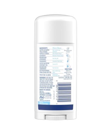 Secret Whole Body Deodorant Dry Feel Stick + Absorbs Sweat for Women Completely Clean Scent Aluminum Free Deodorant Stick 72 HR Odor Protection 2.4 oz - Buy Online on GoSupps.com