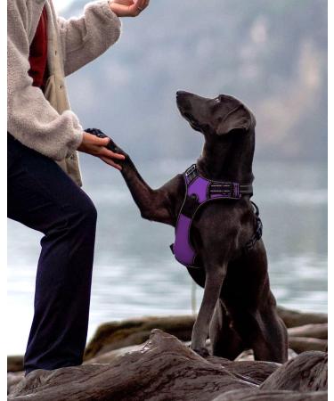 Joytale Large Dog Harness - Reflective Soft Padded Adjustable Breast Harness for Dogs - Breathable Control Handle - Purple (1 Pack) - Buy Online on GoSupps.com
