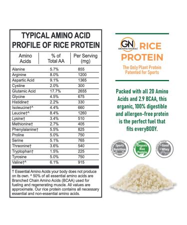 Growing Naturals Vanilla Rice Protein Powder - 15g Plant Protein | 2.8g BCAA | Low-Carb, Low-Sugar, Non-GMO, Vegan, Gluten-Free, Keto-Friendly | Vanilla Blast - 2lb (1 Pack) - Buy Online on GoSupps.com
