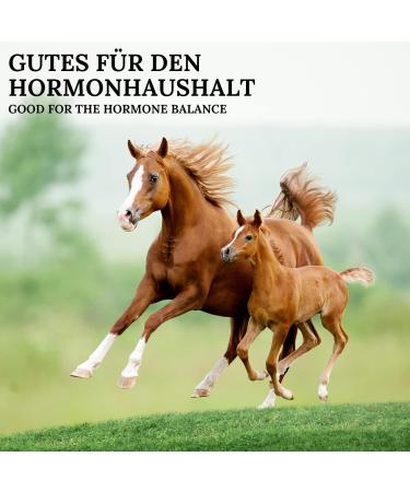 Stiefel Chasteberry Whole Seeds 500g - Buy Online on GoSupps.com