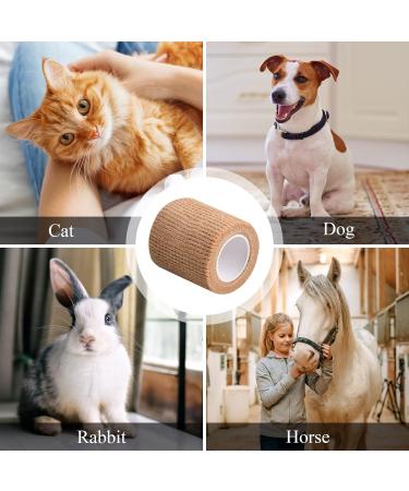 12 Rolls Elastic Cohesive Bandages 5 cm x 4.5 m Breathable Self Adhesive Bandage Non Woven Wrap Tape for Sports Knee Wrists Ankle Sprains Animal Pet Vet (Skin Color) - Buy Online on GoSupps.com