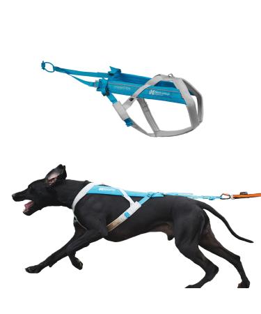 Non-stop dogwear FREEMOTION Harness 5.0 |111| Blue/Grey | Dog harness for all sports size:8 gray/blue 8