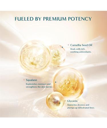 FLORASIS Dewy Touch Tinted Lip Balm Lip Mask Lip Balms for Dry Lips (01 Aromatic Peach 1 Count) 01 Aromatic Peach 1 Count (Pack of 1) - Buy Online on GoSupps.com